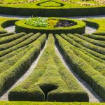 Domek mobilny – funkcjonalność, który możesz posiadać gdziekolwiek